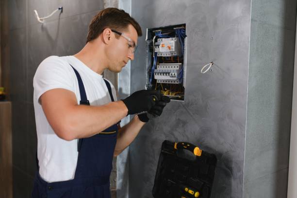 Best Electrical Repair Services  in Taylor, MI